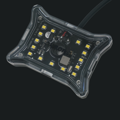 PRO Series Aurora Rocklight